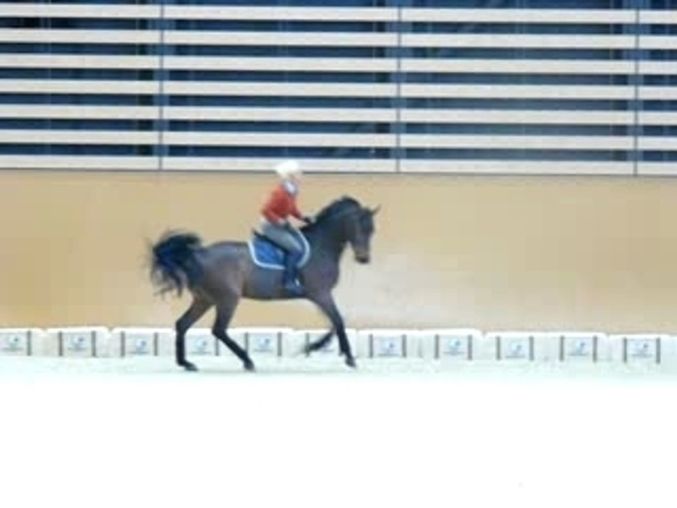 Equita'Lyon 2007