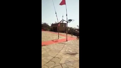 बंदर भी करते हैं भगवान की पूजा ll Monkeys also worship God ll India's Helpless Factory