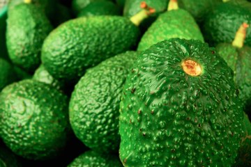 Amateurs d'avocats, découvrez le plus grand guacamole du monde !