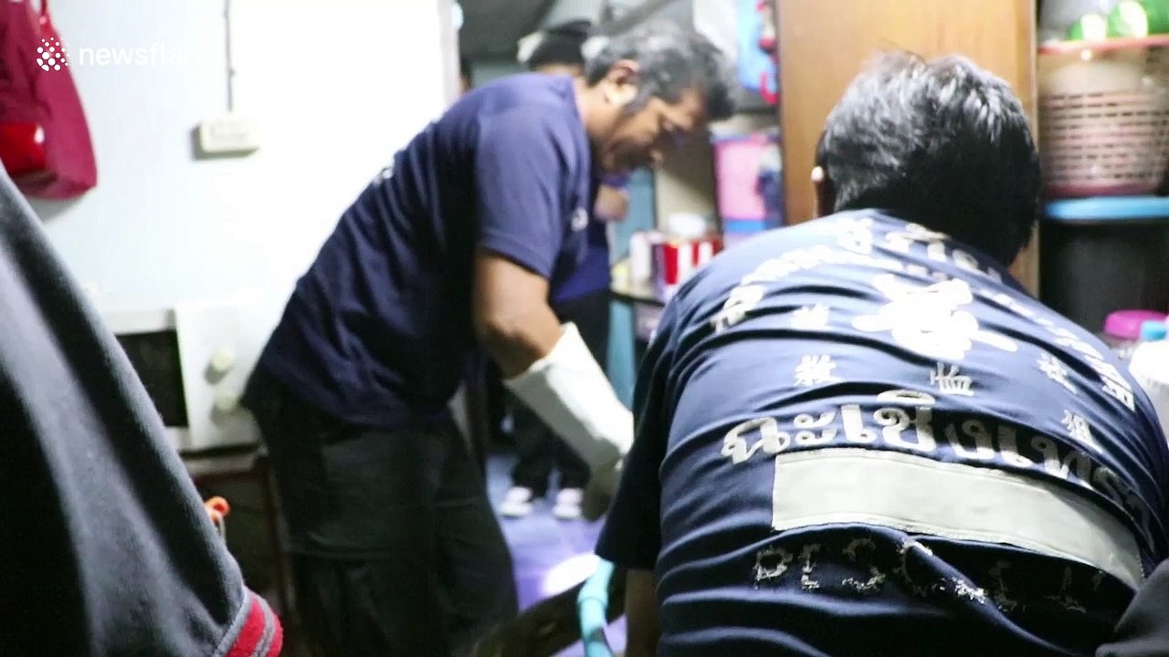 Pensioner calls rescuers after she finds 13ft python in her toilet