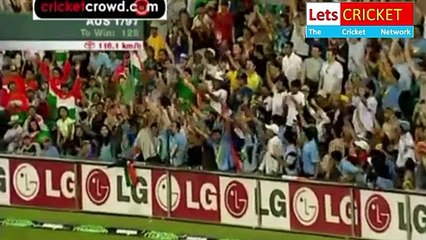 Australia vs India Series || THRILLER || Amazing cricket