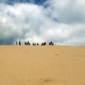 Sandboarding On The Dunes | Moreton Island Tours | Moreton Island Sunset Safaris