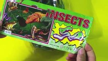 Coloré insecte plastiques petit jouet petit jouet en plastique coloré insecte sur le film de