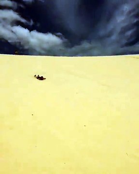 Moreton Island Tours Package | Moreton Island 2 Day Tours | Moreton Island Holiday Packages