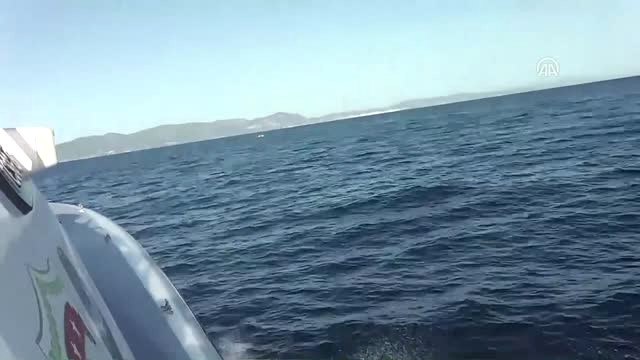 Yasa Dışı Yollarla Yunanistan'a Geçmeye Çalışan 82 Yabancı Uyruklu Yakalandı