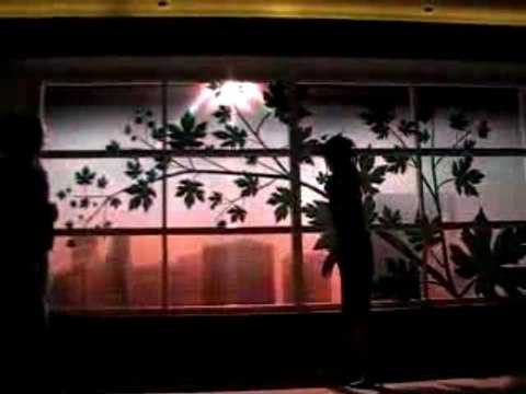 Philips window - Dynamic Daylight Display Window