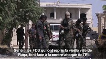 Syrie: dans la vieille ville de Raqa les FDS font face à l'EI