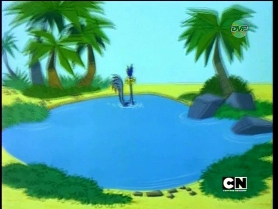 Chaser on The Rocks
