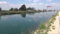 Adana Sulama Kanalına Atlayan Kadın Kayboldu