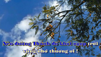 [Karaoke] VÙNG LÁ ME BAY - Anh Việt Thanh (Giọng Nam: Gm)