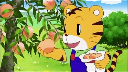 しまじろうのわお！「ぼうしってすごい～」 しましまとらのしまじろう