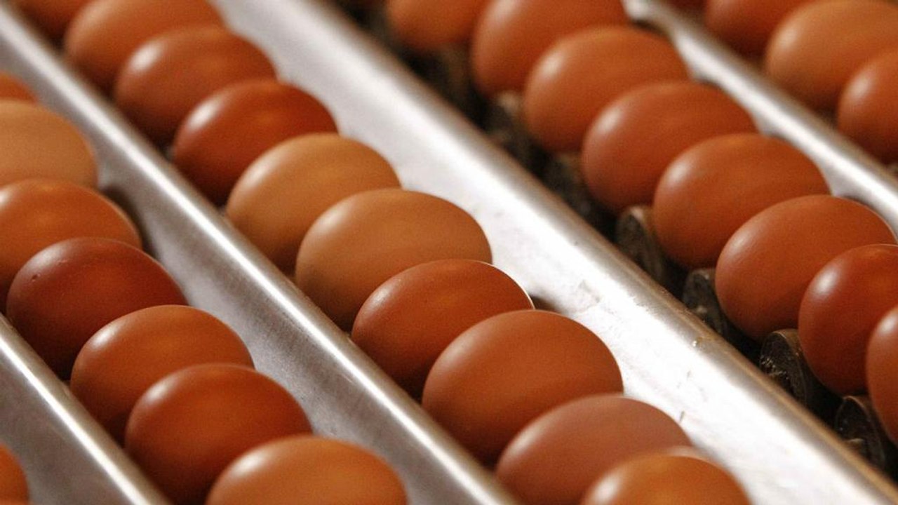Σε 40 χώρες τα μολυσμένα αυγά - Τι ισχύει για Ελλάδα και Κύπρο