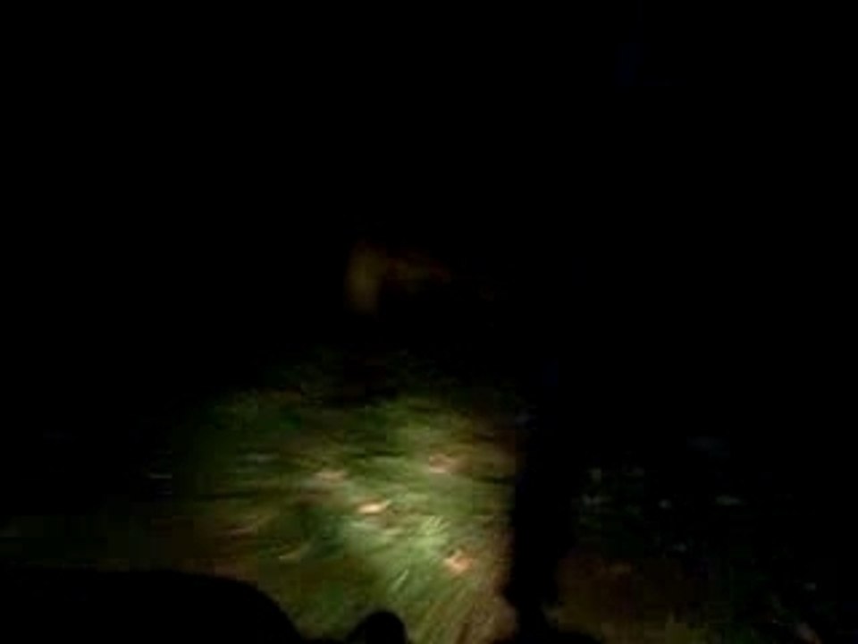 speciale de nuit en buggy 02