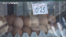 Ministério da Agricultura diz que não há ovos contaminados à venda em Portugal
