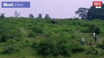 Turisti vritet nga elefanti pasi u mundua te beje selfie me te (360video)