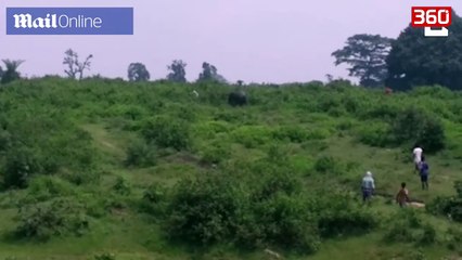 Turisti vritet nga elefanti pasi u mundua te beje selfie me te (360video)