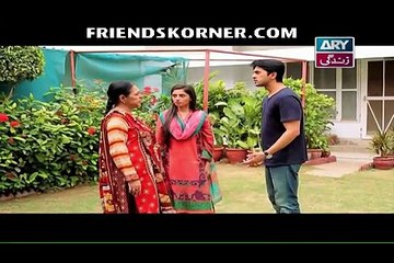 Haal-e-Dil Episode 205