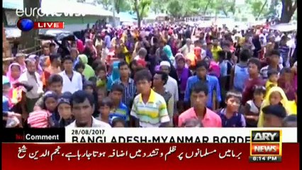 Download Video: Myanmar govt does not accept Rohingya Muslims: PTI's Ali Zaidi