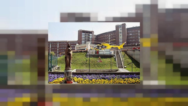 Bimba di quattro anni morta di malaria a Brescia