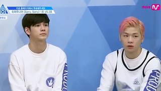 프로듀스 101 옹성우 강다니엘 멍..