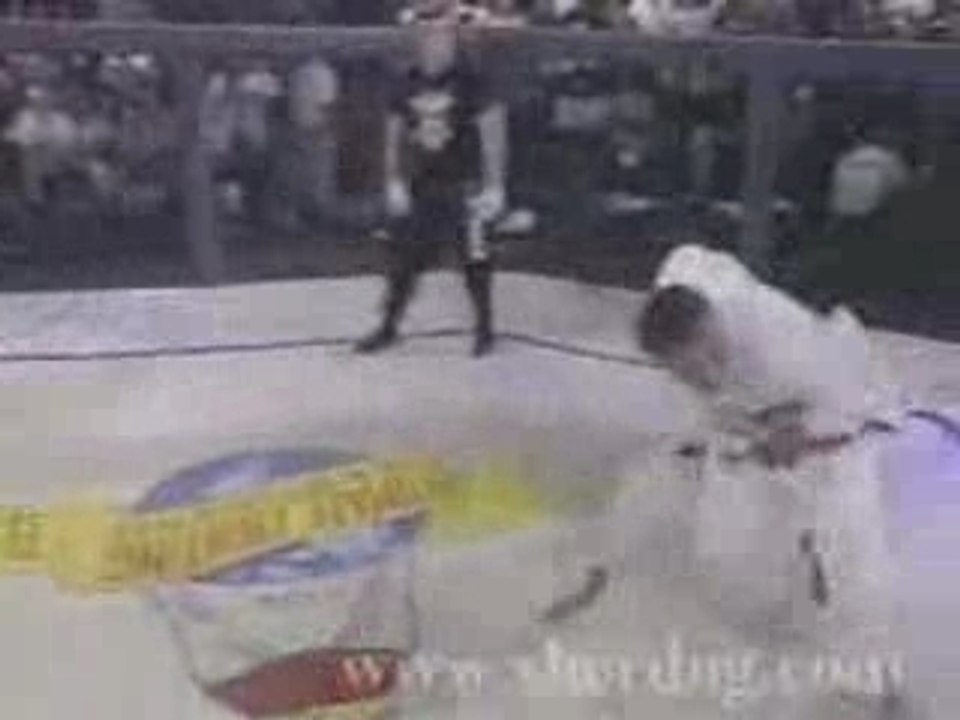 Freefight jiu jitsu brésilien par royce gracie