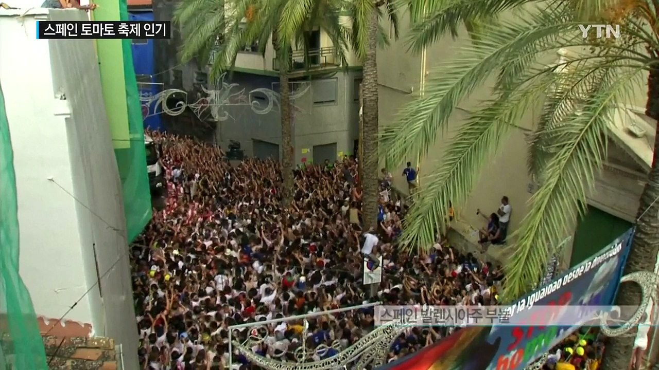 세상에서 가장 재밌는 전쟁...스페인 '토마토 축제' / YTN (Yes! Top N...