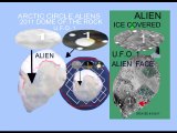 2011 DOME OF THE ROCK U.F.O. APPAEARS APPEARS  WITHIN THE ANT ARCTIC CIRCLE HUGE ALIEN & GIZA SPHINX FACE IMAGES