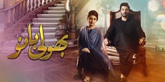 Bholi Bano - Episode 47 Geo tv drama 4 sep 2017