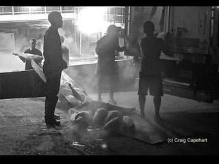 Video Captures Longline Fishing in Honiara, Solomon Islands