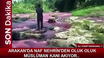 göller nehirler kan akıyor ke-efir putperest buwdistler bebek yaşlı çocuk kadın demeden kesiyor