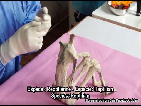 Les Etres mystérieux de Nasca - Victoria - N° 3 - Spécimens