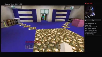 Minecraft trolling (37)