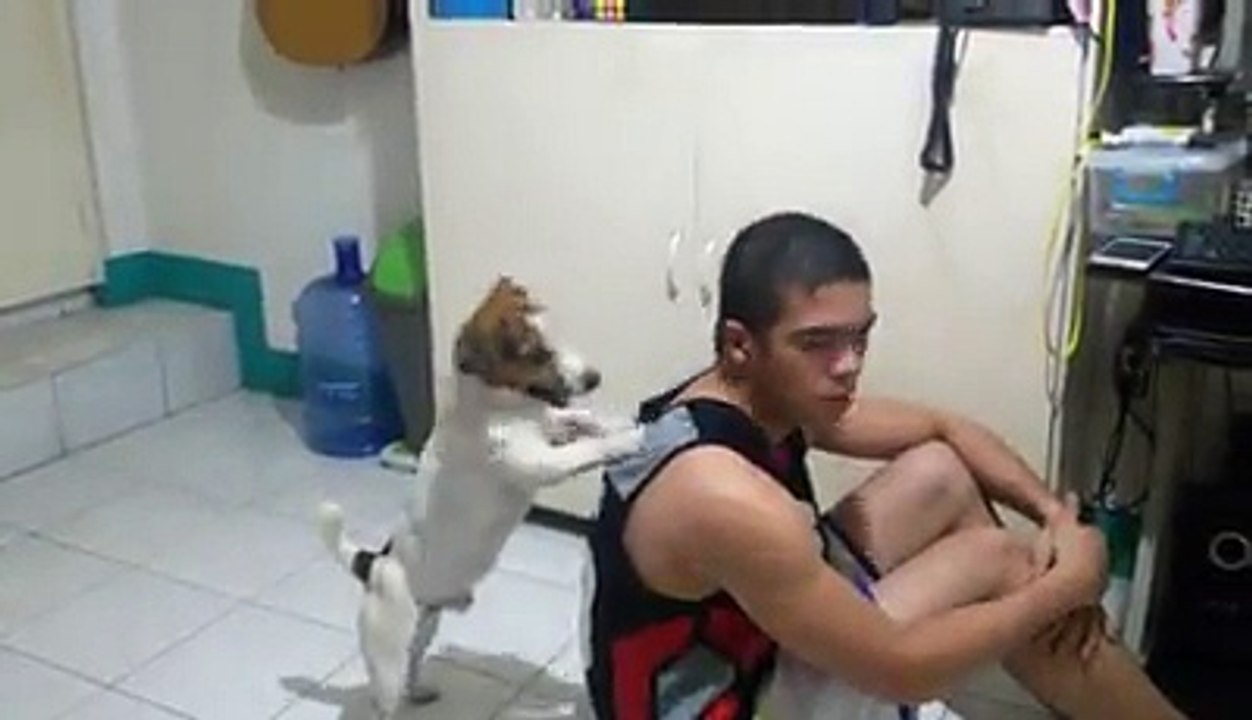 Cute Puppy Does Tricks