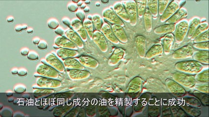 実在したと言われるタイムトラベラー5選＋天才科学者が行ったタイムトラベル実験の結果とは？