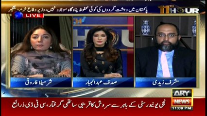 Foreign Minister should show sacrifices of Pakistan to the world: PPP's Sharmila Farooqi