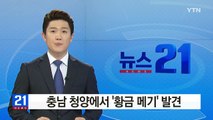 충남 청양에서 '황금 메기' 발견 / YTN (Yes! Top News)