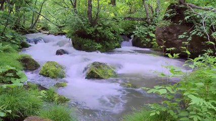 suoi that dai 30 phut