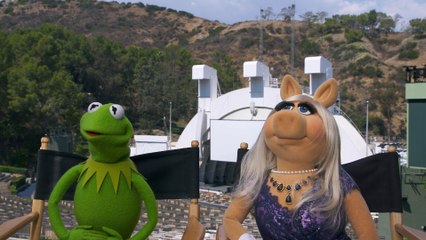 Kermit the Frog & Miss Piggy Are No Longer Dating