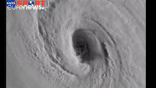 Флорида: незваный гость