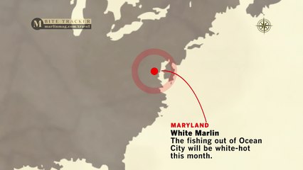 The World's Best Fishing Destinations for September