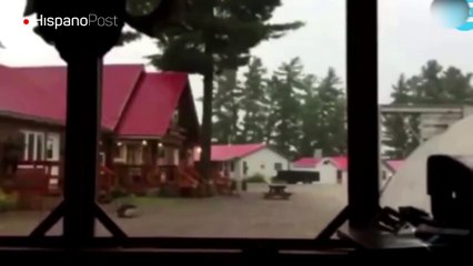 Un rayó hizo añicos a un centenario árbol en Canadá