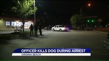 Virginia Officer Shoots, Kills Dog While Arresting Owner For DUI