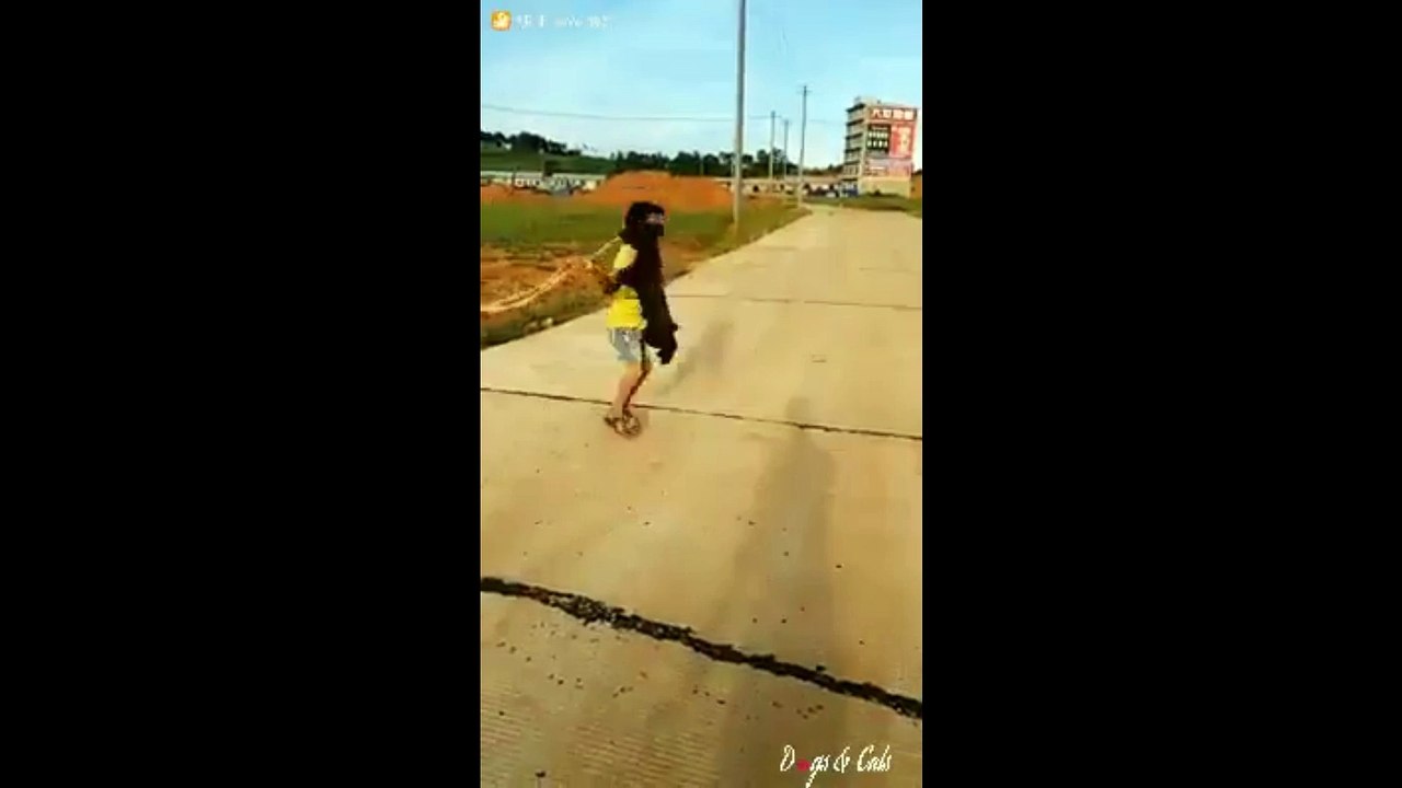 Baby Jumping