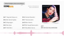 Bülent Ersoy - Bir Sevgili Bulamadım (Official Audio)