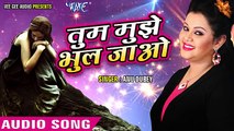 Anu Dubey - Tum Mujhe Bhul Jao - Pyar Mohabbat - Hindi Sad Song 2017