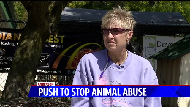 Animal Care Officials Pushing For Change After Recent Dog Abuse Case in Indiana