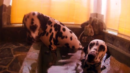 雨の日も遊びたい！有賀拓郎 (7)