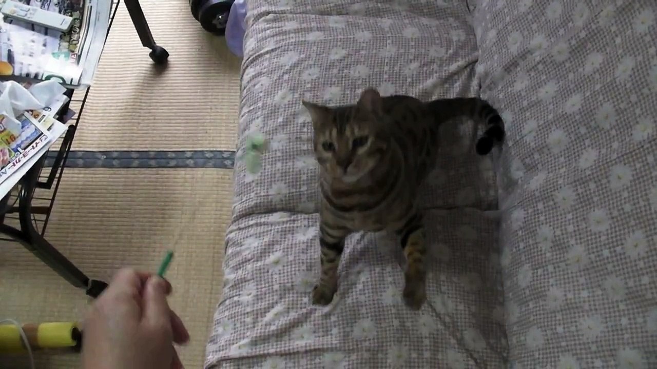 どんな時もゴロゴロ　木原秀樹 (6)