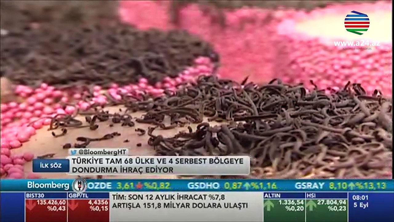 Türkiyə dondurmadan da qazanır