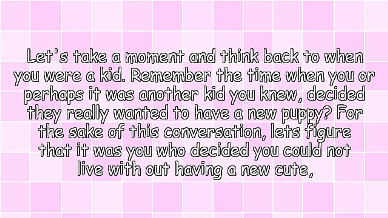So, You Want to Get a New Puppy!